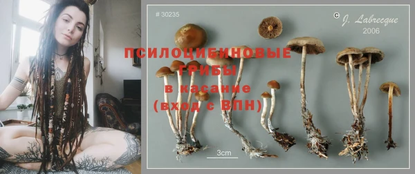 2c-b Слюдянка