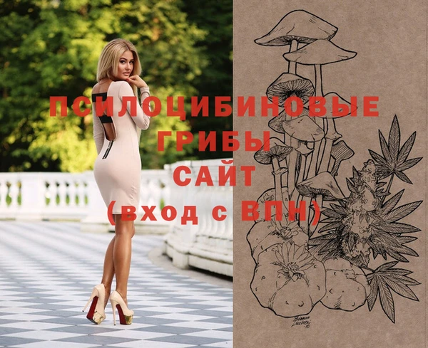 мет Белокуриха