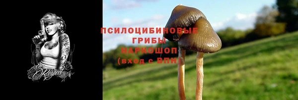 мет Белокуриха